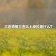 王者荣耀王者以上段位是什么？
