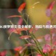 PUBG俄罗斯充值全解析，风险与机遇并存