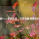 借Steam军团阵容，打造专属游戏战队