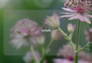 include
