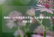 美标CF - 3CF及汤尼克水龙头，工业润滑与用水领域之选