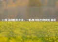 CF臭豆腐图片大全，一场独特魅力的视觉盛宴