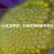 LOL乱变野怪，打破常规的新奇体验