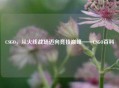 CSGO，从火线战场迈向竞技巅峰——CSGO百科