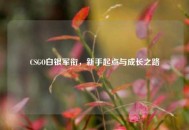 CSGO白银军衔，新手起点与成长之路