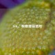 LOL，我要增益信号