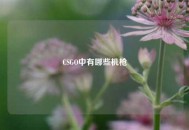 CSGO中有哪些机枪