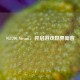 943700 Steam，开启游戏世界新窗