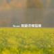 Steam 屏蔽详细指南