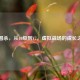 三国杀，从40级到V7，虚拟战场的成长之旅