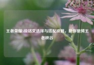 王者荣耀5级铭文选择与搭配攻略，助你驰骋王者峡谷