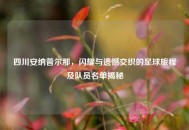 四川安纳普尔那，闪耀与遗憾交织的足球旅程及队员名单揭秘