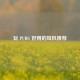 玩 PUBG 好用的耳机推荐