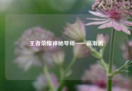 王者荣耀神秘琴师——高渐离