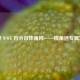 探秘 WWE 百分百摔角网——摔角迷专属乐园