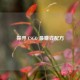 探寻 CSGO 更赚钱配方