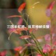 三国杀蛇酒，乱世神秘佳酿