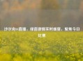 沙尔克04直播，绿茵     实时盛宴，聚焦今日比赛