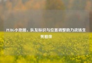 PUBG小地图，队友标识与位置调整助力战场生死相伴