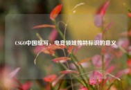 CSGO中国缩写，电竞领域独特标识的意义