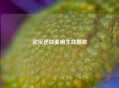 武汉逆战奏响生命赞歌