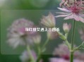 当红桃艾遇上三国杀