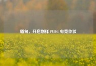 缅甸，开启别样 PUBG 电竞体验