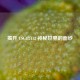 揭开 CSGO2412 神秘世界的面纱