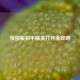 快报版和平精英打开全攻略