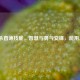 三国杀直谏技能，智慧与勇气交锋，能用几次？
