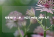 丹麦国家队队长，绿茵精神领袖及队长名单