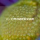 CF，打开对话框后又关闭