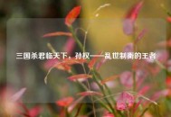 三国杀君临天下，孙权——乱世制衡的王者