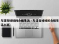 与漂亮妹妹的合租生活（与漂亮妹妹的合租生活小说）