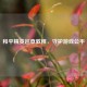 和平精英巡查教程，守护游戏公平