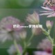 逆战xmouse使用指南