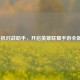 LOL手机对战助手，开启英雄联盟手游全新体验