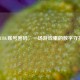 PUBG账号密码，一场游戏里的数字守护