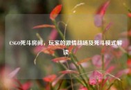 CSGO死斗房间，玩家的***战场及死斗模式解读