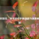 逆战封排位，探寻游戏平衡谜题与快速解封之道