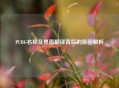 PUBG名称及界面翻译背后的原因解析
