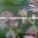 深度解析CSGO交运机制与概率，交运好出吗？