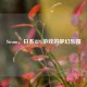 Steam，日系RPG游戏的梦幻乐园