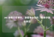 2002 年韩日世界杯，***争议交织，聚焦中国队阵容