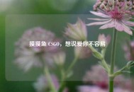 摸摸鱼 CSGO，想说爱你不容易