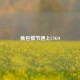 偷包情节遇上CSGO