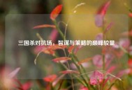 三国杀对抗场，智谋与策略的巅峰较量