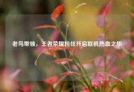 老鸟带领，王者荣耀粉丝开启联机热血之旅