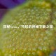 探秘Steam，开启的神秘下载之旅