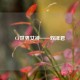CF世界女神——双泽君